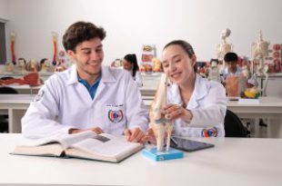 Anatomia